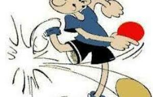 Journée départementale de stage